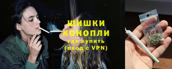 индика Балабаново