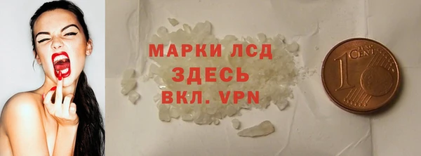 прущие грибы Сатка