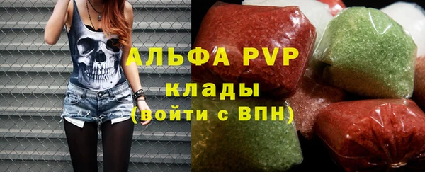 крисы Баксан