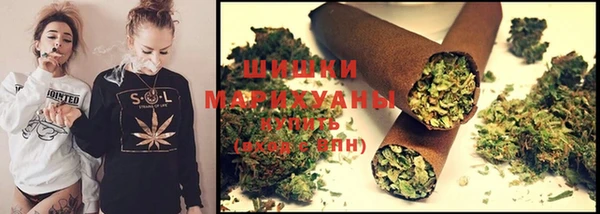 индика Балабаново