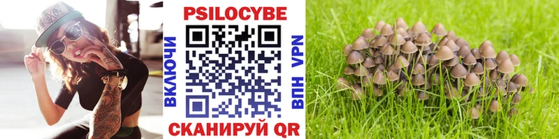 blacksprut сайт Велиж Псилоцибиновые грибы Cubensis